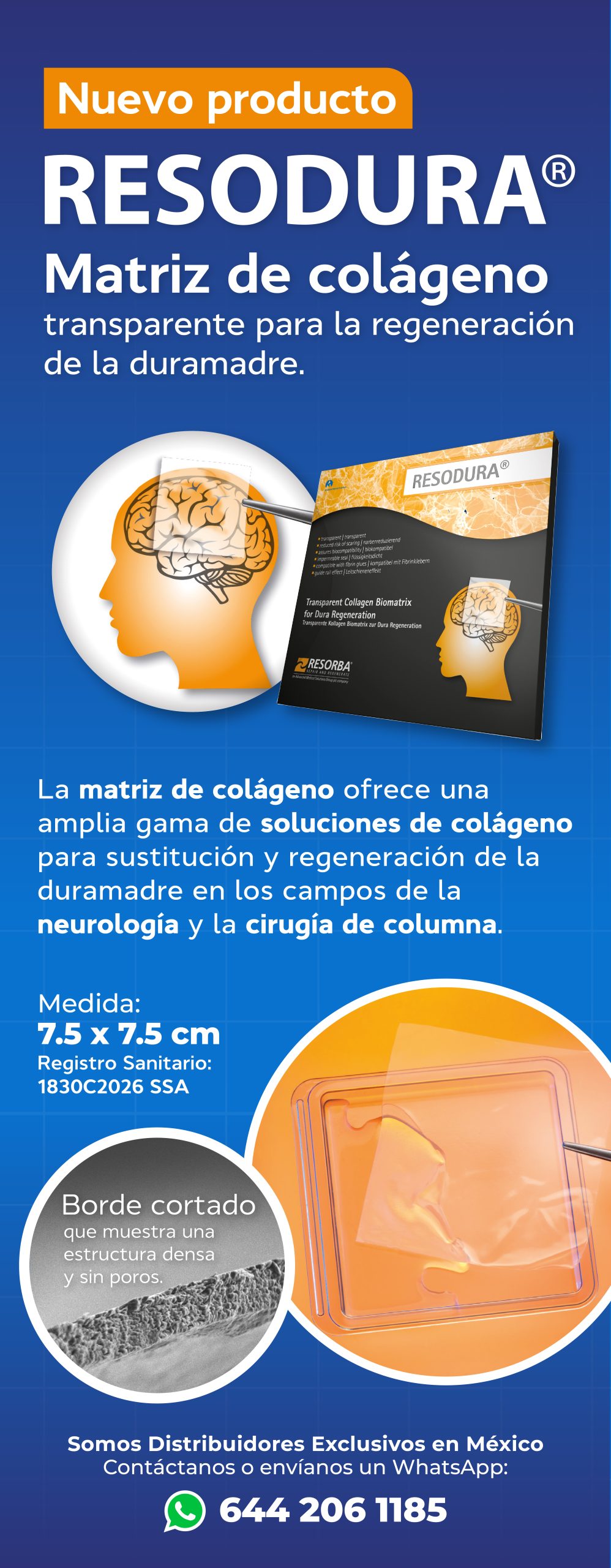 Matriz de colágeno